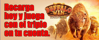 Bono de Lealtad Slots